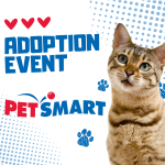Petsmart