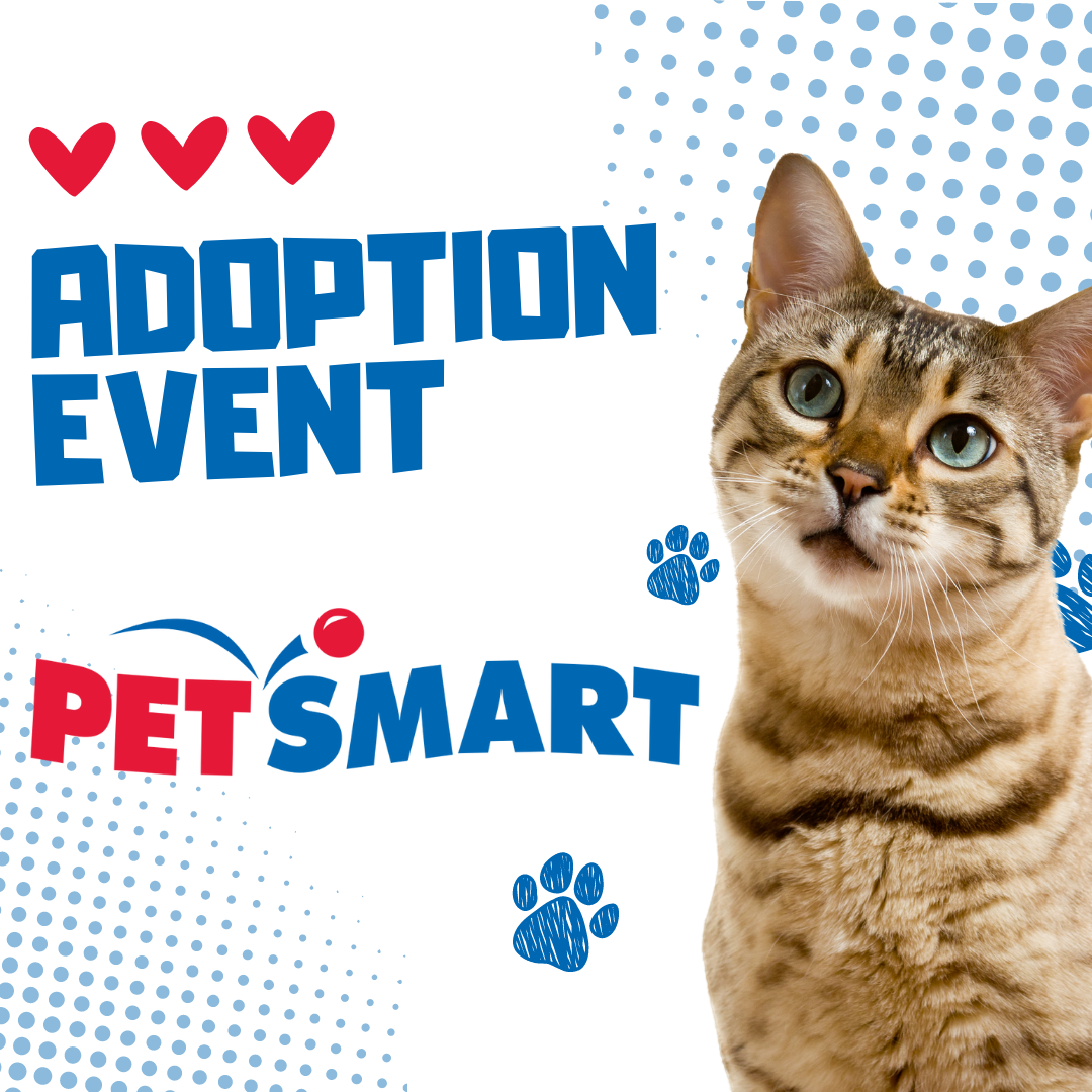 Pet adoption event hot sale petsmart