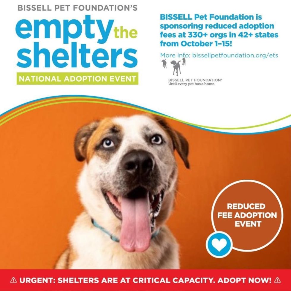 Fall Empty The Shelters Adoption Event Kokomo Humane Society