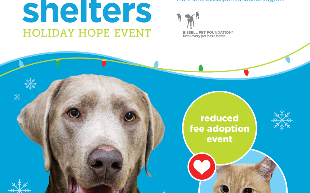 Empty the Shelters Holiday Hope