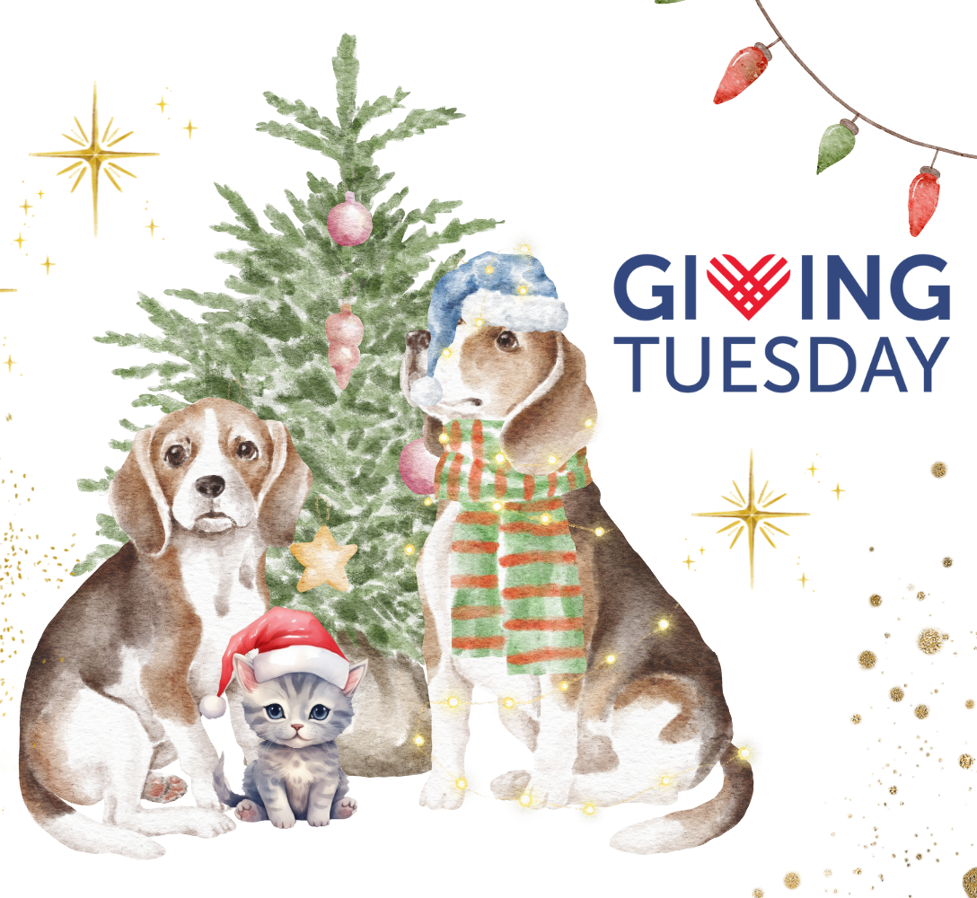 Giving Tuesday 2023