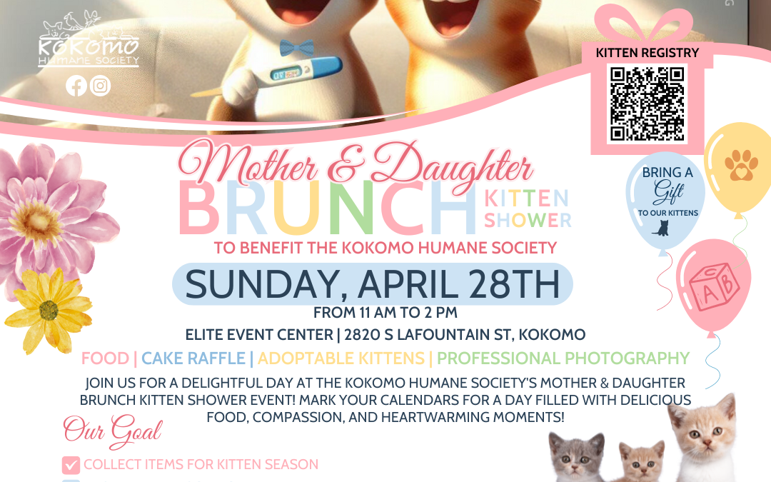 Join us for our Mother & Daughter Brunch Kitten Shower!