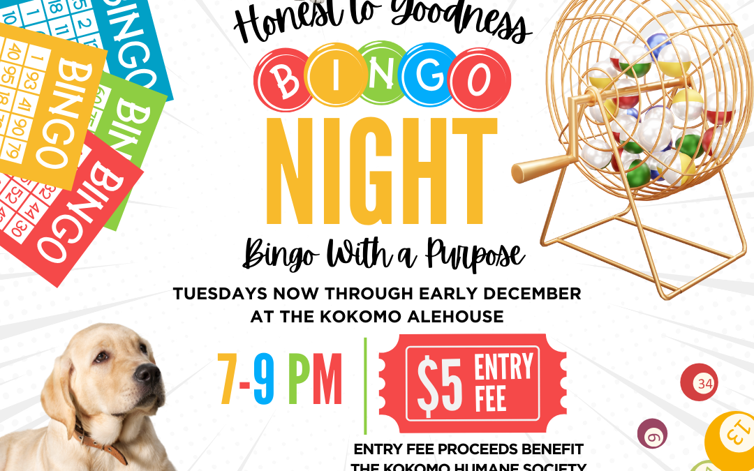 Bingo Night with a Purpose !